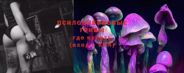 трава Зеленокумск