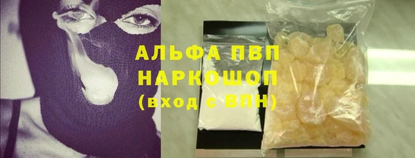 СК Зерноград