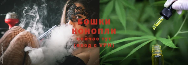 СК Зерноград