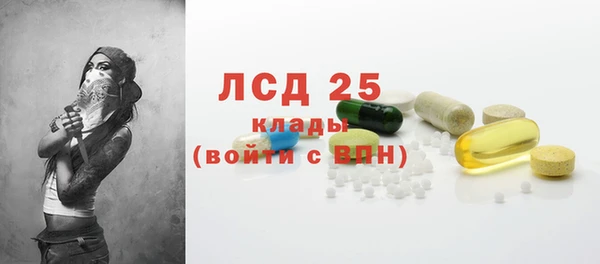 СК Зерноград