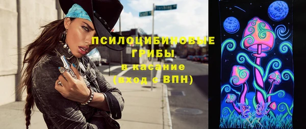 СК Зерноград