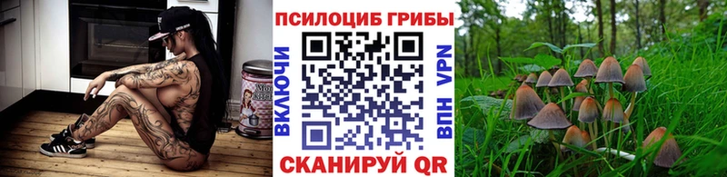 Псилоцибиновые грибы ЛСД  сайты даркнета какой сайт  Касимов 